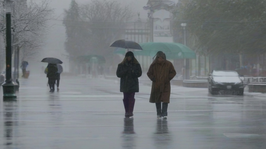 寒潮叠加雨季：极端天气下的生存指南与安全预警
